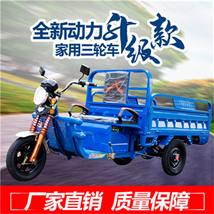 三轮车电动货车载重王成人成人新款农用电动三轮车