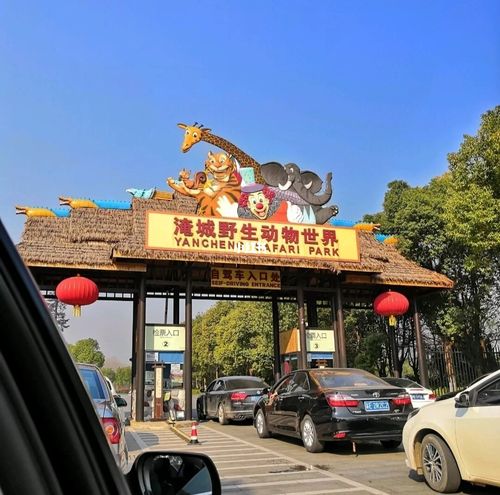 常州淹城野生动物园自驾游攻略9199_自驾游_动物园_城野_教程