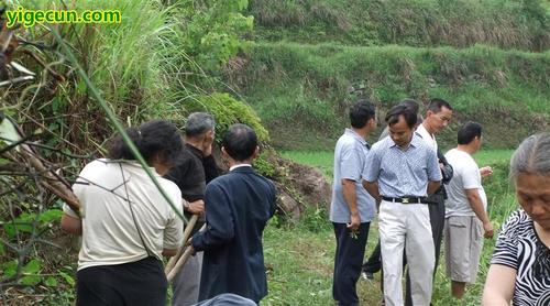 湖南省湘西州保靖县复兴镇那铁村图片