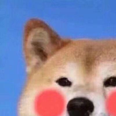 柴犬狗头卡通头像