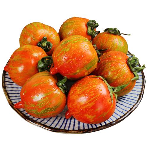 东北皮球柿子草莓铁皮柿子农家西红柿 虎皮柿子新鲜小番茄4斤包邮