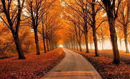 自信阳光正能量的句子,句句激励人心!