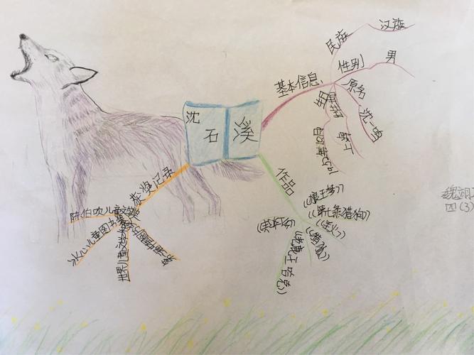 孩子们还利用思维导图介绍了沈石溪