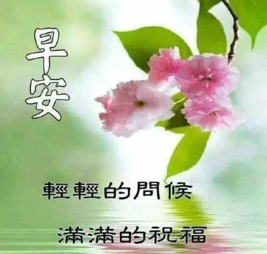 炎热清晨温馨的早上好问候语录图片带字漂亮的早上好祝福美图送大家