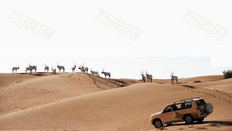浩瀚沙漠越野车