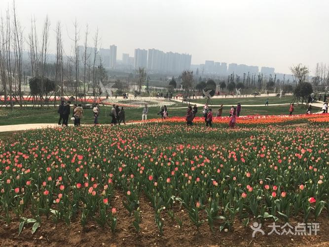 万科五龙山公园一期-图片-新都区生活服务-大众点评网