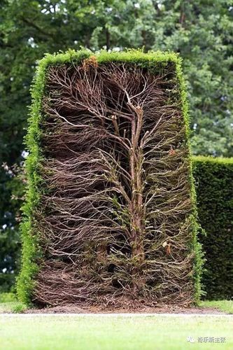 了一个角度,一切皆非 比如下面这些颠覆你认知的东西: 吉他的内部构造