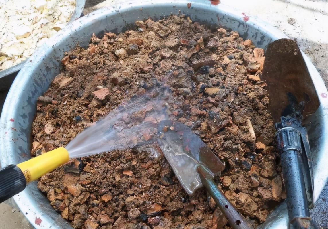 花土 煤渣养花:该怎么处理煤渣,用了有什么好处,如何搭配?