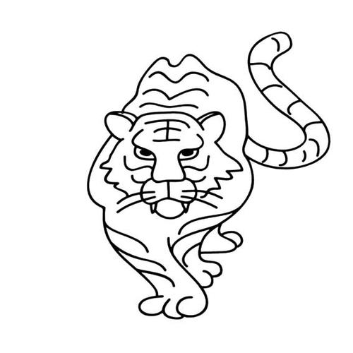 老虎-简笔画版