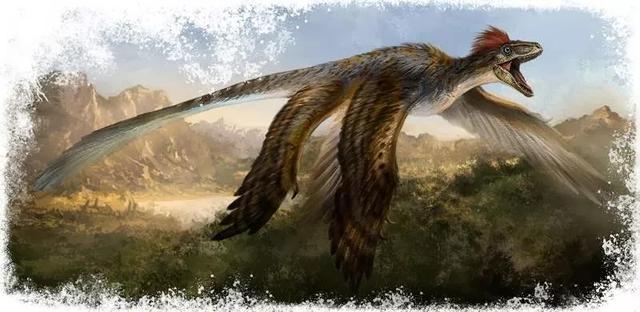 世界上最小的恐龙小盗龙