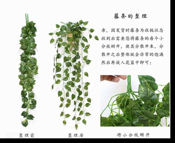 花藤吊篮挂壁花艺吊兰植物盆栽仿真绿植绿萝室内藤条壁挂墙上防真