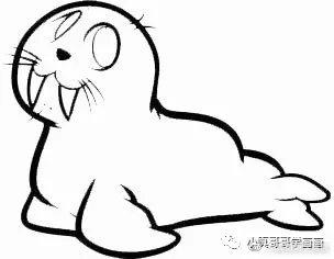 小真哥哥学画画海象简笔画画法