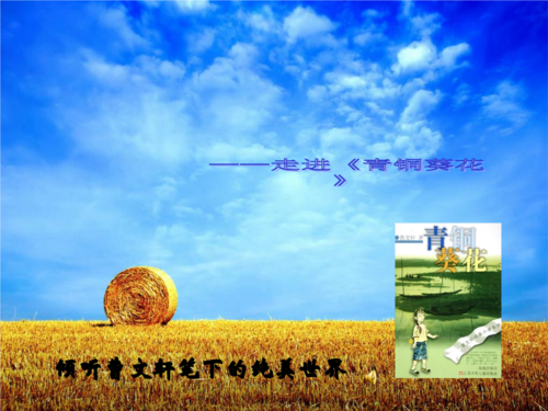 青铜葵花 王国良教学讲义.ppt