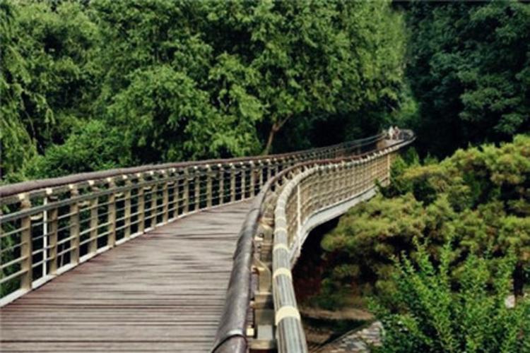 泉城公园旅游景点图片