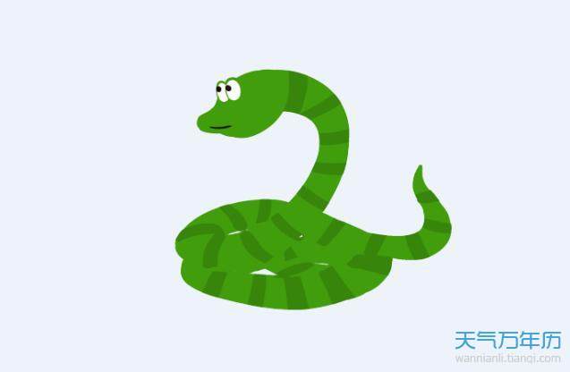 12岁24岁36岁48岁60岁,反正就是12的倍数432013年属什么?