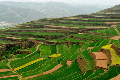 4,庄浪梯田