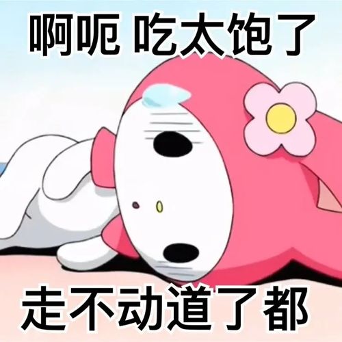 虽然一句也没听懂但是知道我们壳鸡又吃饱饱了