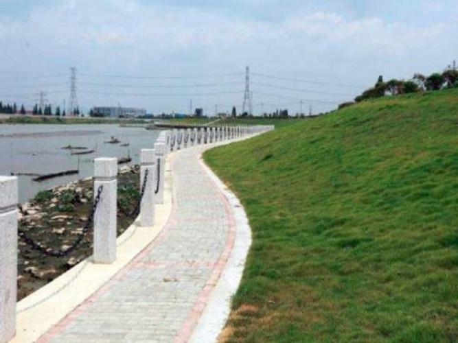 河道堤防加固治理施工组织设计(word)