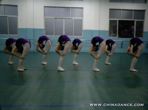 的动作基础,如:风火轮,卧鱼,斜探海,探海,紫金冠跳,双飞燕跳以及翻身