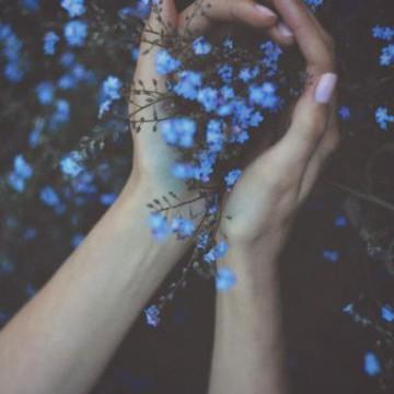 小清新漂亮水果头像,个性头像图片-回车桌面