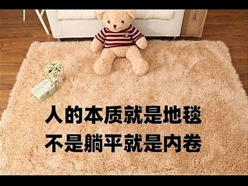 搞笑趣图人的本质就是地毯不是躺平就是内卷
