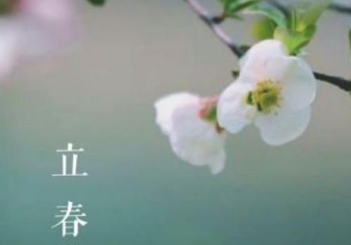 立春的说说发个朋友圈