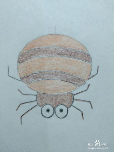 简笔画画昆虫蜘蛛