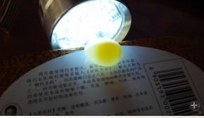 请问这个珍珠鸟的蛋,受精了吗?好像都10天了吧.