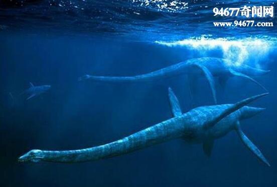 史前海洋霸主蛇颈龙恐龙灭绝后依旧活在地球深海