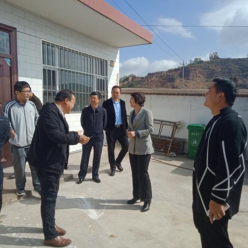 县卫体局局长李新霞深入尉庄乡枣庄村开展深度解剖活动