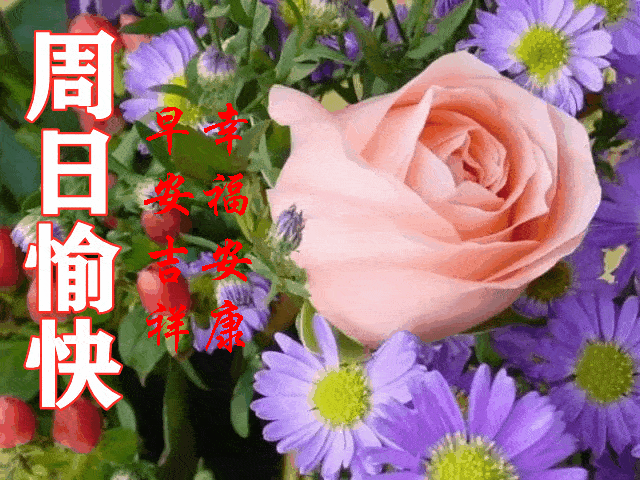 周末好,祝你幸福安康