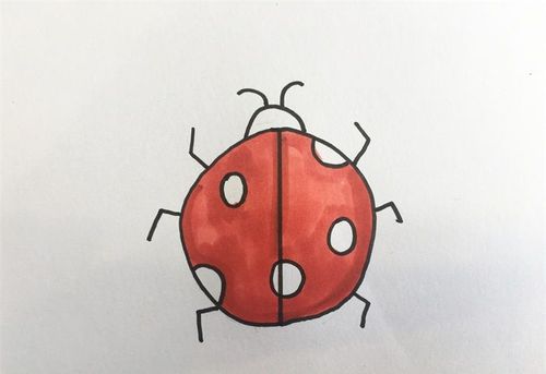 中间画一条竖线把圆分成两半,在圆里画五个小圆圈,画上虫子的头部和