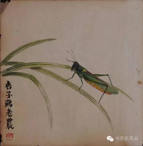 齐白石画的蝈蝈和蝗虫,不佩服不行!