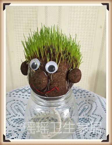 新奇植物生日礼物草头娃娃 创意迷你室内植物长草娃娃