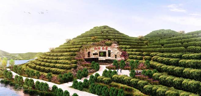 1山体茶窖.jpg