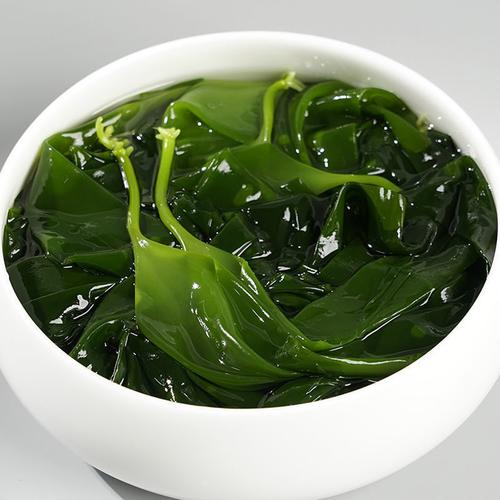 特级精装海带苗新鲜盐渍裙带菜火锅非海带干货凉拌东山海带芽包邮