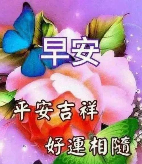 11月9日最美问候早晨好祝福语短信图片,新的一天加油