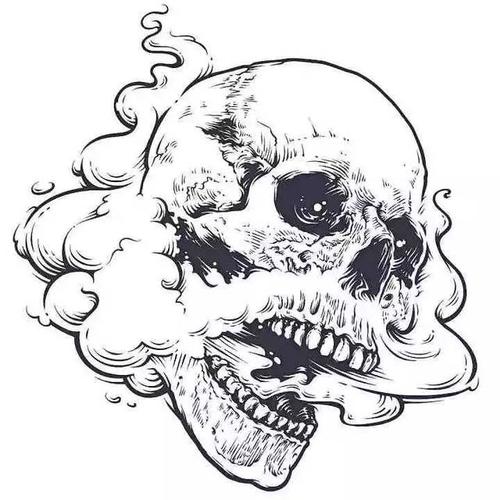 针管笔绘画|动物,骷髅,插画作品欣赏