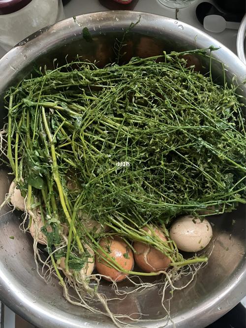 三月三,荠菜花煮鸡蛋_荠菜_煮鸡蛋_美食_美食展示