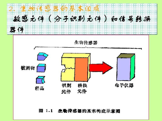 武汉大学仪器分析08-3.生物传感器ppt
