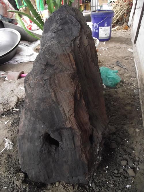 这块是木化石吗,从煤里捡到的有价值吗,木化石保存时怕水吗