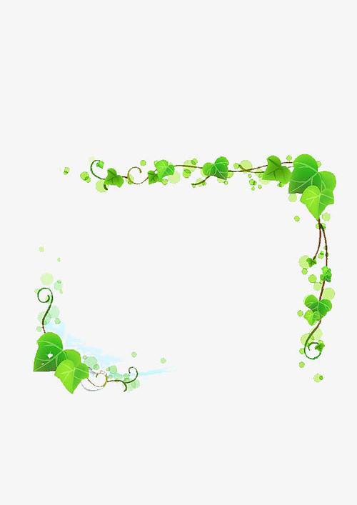绿叶,边框,绿色,花边