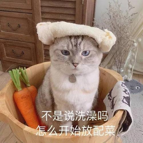 斗图必备表情包 i 说到这个我就不困了啊