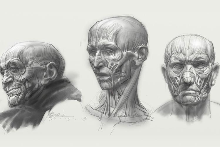 智能时代的绘画底层—管郁生分形头部解剖与表现课第一期