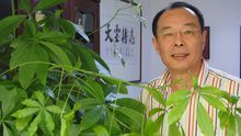 乔鲸