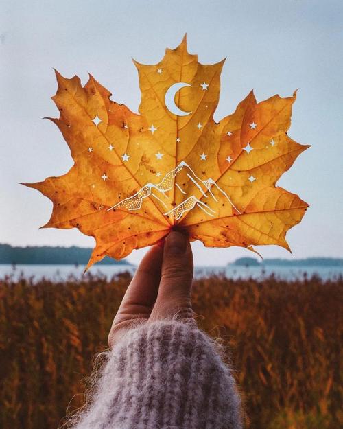秋天落叶的5大创意拍法照片让人眼前一亮