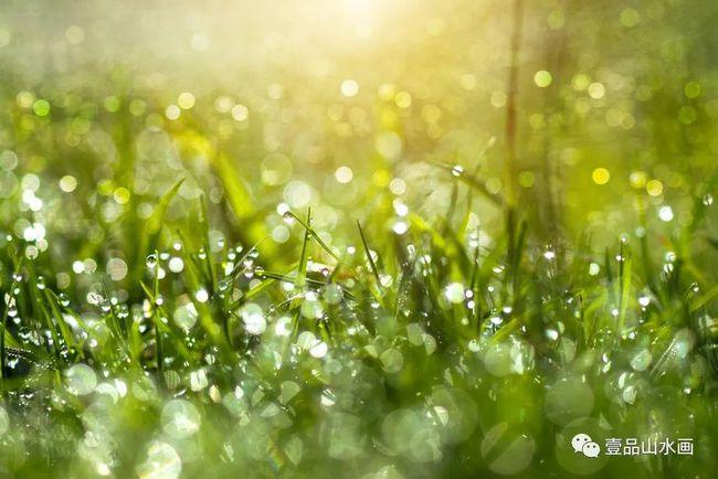 悦听丨春天的早晨