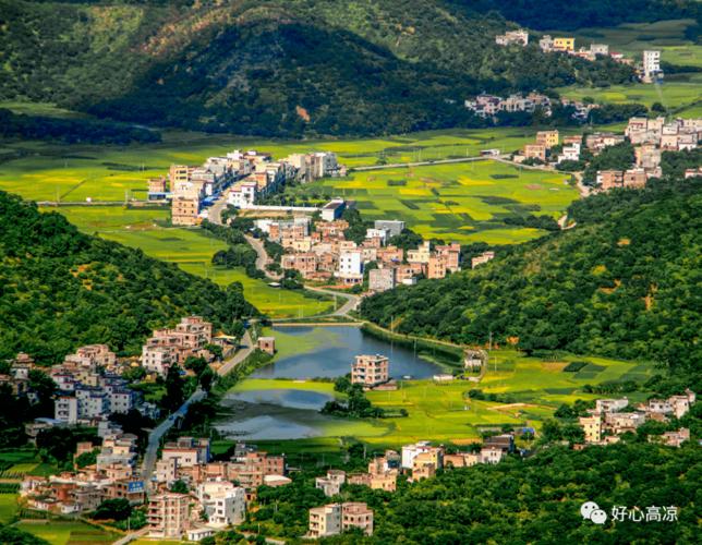 数字赋能乡村振兴高州根子镇驶入数字乡村快车道