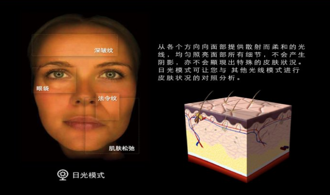 observ皮肤影像分析仪日光模式