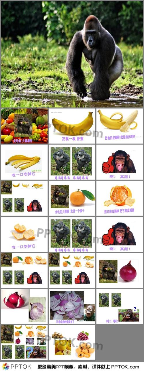 幼儿园中班《贪吃的大猩猩》ppt课件